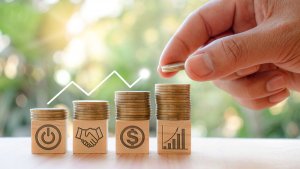 Dövize Endeksli Ödüllü Birikim Hayat Sigortası